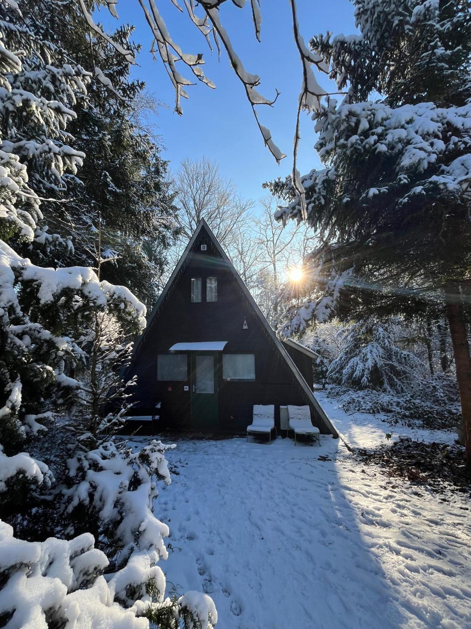 Vakantiewoning Sunclass Durbuy Ardennen Huisnummer 68 ภายนอก รูปภาพ