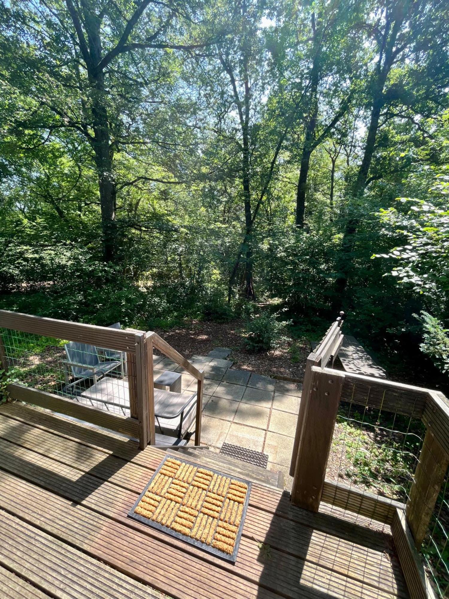 Vakantiewoning Sunclass Durbuy Ardennen Huisnummer 68 ภายนอก รูปภาพ